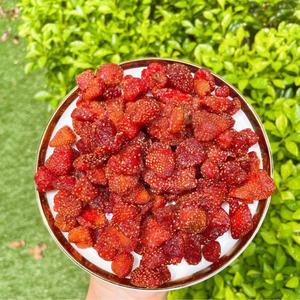 Fresas Secas Suaves en Trozos Enteros |   Snack Natural de Fruta Masticable |   Suministro al por Mayor de Calidad Premium - Sra. Tarina - Product Image 1