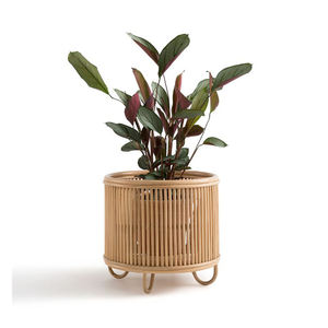 Soporte para Plantas de Ratán Ecológico de Primera Calidad con Cesta para Sala de Estar, Balcón y Jardín - Product Image 2