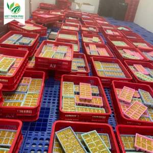 VIET THIEN PHU |   PULPA DE FRUTA DE LA PASIÓN CONGELADA PREMIUM IQF ENVASADA AL VACÍO ESTÁNDAR DE EXPORTACIÓN DE VIETNAM - Product Image 4