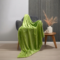 Plaid de lit en peluche corail personnalisé avec logo 2025, en microfibre de vison ultra douce, imprimé Raschel, style américain NIN House Four