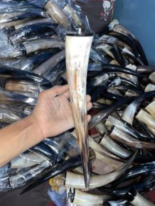 แตรวัวขัดมันสัตว์ทันสมัยดีไซน์แบบเขาสัตว์ไวกิ้งงานฝีมือธรรมชาติสำหรับงานแต่งงาน - Product Image 3