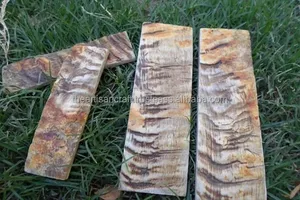 Escala de Cuerno de Carnero Pulida a Mano - Herramienta de Medición de Estilo Animal Ecológica y Artículo Decorativo con Tamaño Personalizable - Product Image 3