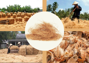 เส้นใยเปลือกมะพร้าวดิบจากเวียดนาม สำหรับคอนกรีตที่เป็นมิตรกับสิ่งแวดล้อมและการปั่นด้าย ใช้ในงานผลิตวัสดุหน่วงไฟ - Product Image 2