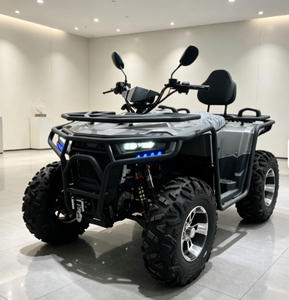 ขายตรงจากโรงงาน รถเอทีวี 650 ซีซี 4x4 เกียร์ออโต้ 4 จังหวะ ขับเคลื่อนเพลา ใช้แก๊ส/ดีเซล สำหรับผู้ใหญ่ ขับขี่ออฟโรด พร้อมวินซ์  ที่นั่งคู่ - Product Image 2