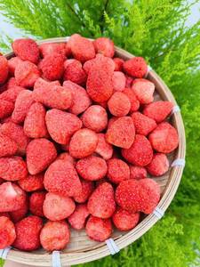 Organic Sweet Baking Decoration Freeze-Dried Strawberry Snowflake Crisp <b>Slices</b> Bulk Supply <b>Cake</b> Yogurt Topping 12 Months Storage - Product Image 2