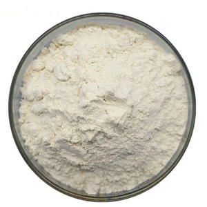 Poudre d'enzyme protéase alcaline de qualité alimentaire à haute activité pour l'attendrissement de la viande et la digestion des protéines - Product Image 1