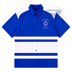 Zeta Phi Beta ZPB Sorority Women's Striped Button <b>Down</b> Shirt Short Sleeve Blue White Color blocking Casual Spring Summer T-shirt - Product Image 1