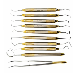 Kit de Instrumentos Dentales Profesionales para Profilaxis y Limpieza, de Acero Inoxidable, Venta al Por Mayor - Product Image 6