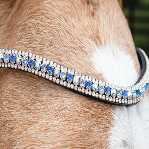 Gran oferta de calidad superior hecha en la India, sillín Original en todas las formas, cristales de cuero, diamantes de imitación, banda decorativa para la frente de Carreras de Caballos - Product Image 6