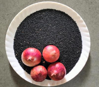 Graines d'oignon Fursungi de Pune (Allium Cepa) – Forme brune, herbe séchée brute, extrait végétal, pureté 99%, qualité A+, extrait par tambour CareQue