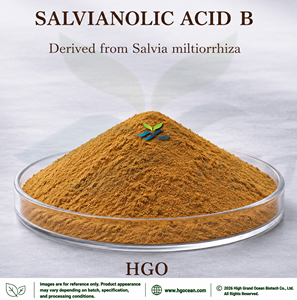 Approvisionnement direct d'usine HGO d'extrait de salvia miltiorrhiza naturel pur (qualité alimentaire santé) spécification acide salvianolique B 65% - Product Image 1