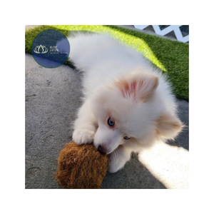 Jouet de traction pour chien en corde de chanvre et coton naturel de haute qualité, disponible, pour la dentition, OEM - Product Image 5