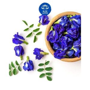 Té de Flor de Guisante Mariposa de Alta Calidad, Precio Mayorista Económico, Bolsitas de Té de Marca Premium con Etiqueta Privada OEM, Suministro a Granel Directo de Fábrica - Product Image 1