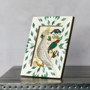 กรอบรูปกระดูก รูปทรงสี่เหลี่ยมผืนผ้า ลายโค้ง ดีไซน์กรอบรูปกระดูก - Product Image 4