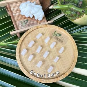 Nata de COCO ส่วนประกอบของเจลมะพร้าวแบบเคี้ยวชุ่มชื้นสำหรับน้ำผลไม้และขนมเยลลี่ - Product Image 2