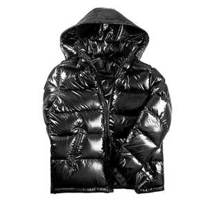 Blouson matelassé brillant tendance 2024 pour homme, avec capuche, chaud et épais pour l'hiver, imperméable et coupe-vent, unisexe - Product Image 1