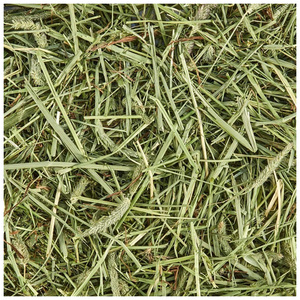 Heno de Timothy Alto en Proteínas para Alimentación de Caballos, Ganado, Cerdos y Peces, 500g, Empaque a Granel, Alta Calidad - Product Image 6