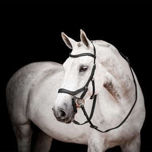 Lightweight English Bridle Leather <b>Halter</b> with Contrast Color Soft Leather Padded Brass Hardware Custom Design Bridle - Product Image 1
