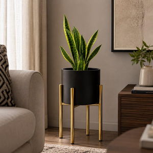 Support de plantes en métal pour sol avec bac à plantes pour salon, chambre, intérieur, extérieur, présentoir de fleurs, support de plantes décoratif moderne - Product Image 6