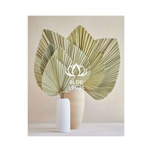 HIGH QUALITY Healthy Dried Palm <b>Leaf</b> Floral Arrangement | Sustainable Natural Home <b>Decor</b> - Product Image 1