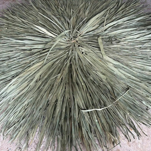 Rollo de Paja Natural Mexicana para Techo de Paja, Corredor de Pato a Prueba de Viento, Hierba Ciega para Techo de Palapa, Cabaña Tiki, Bar, Sombra al Aire Libre, Fábrica - Product Image 1