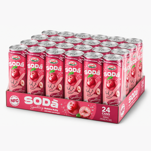 Bebida Gaseosa de Ciruela, Menta y Jengibre de 320ml, 24 Latas, Fabricante OEM en Vietnam, Suministro al por Mayor para Exportación ODM - Product Image 5