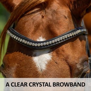 Brida de Cuero de Alta Calidad para Caballo, Arnés Ajustable, Cómodo para Entrenamiento, Equipo Ecuestre Duradero, Mejor Precio - Product Image 4