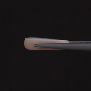 โอปอลสีขาวธรรมชาติ รับรองโดย IGI น้ำหนัก 5.87 กะรัต รูปทรงวงรี ขนาด 16x12.5 มม. ตัดด้วยมือ ขัดเงา ผ่านการเคลือบแว็กซ์/น้ำมัน คุณภาพดี - Product Image 2