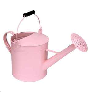 Bastón de agua metálico indio hecho a mano, acabado a mano en plata, bastón de agua para jardín, color blanco, elegante, clásico, a bajo precio. - Product Image 2