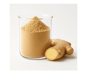 Polvo de raíz de jengibre Zingiber Officinale, suplemento herbario natural para el bienestar, la digestión y un estilo de vida saludable. - Product Image 1