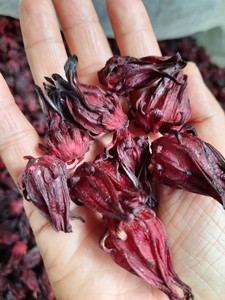 ชาแบบกลีบกุหลาบแบบออร์แกนิกบรรจุเป็นกลุ่มดอกชบาดอกไม้บานแบบแห้ง99โกลด์ - Product Image 4