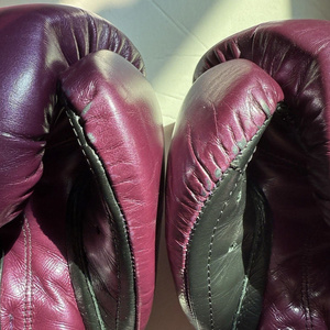 ถุงมือชกมวยคุณภาพสูง Celeto rays Professional Muay Thai สำหรับฝึกซ้อม สีสั่งทำได้ ขนาดสำหรับผู้ใหญ่ รุ่น RL-BG-167 - Product Image 6