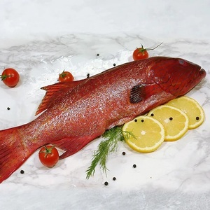 Poisson entier de Grouper Rouge Tacheté IQF surgelé, faible en gras et en sodium, en vrac, en morceaux, pour la restauration - Product Image 1