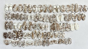 พลอยแม็กเนไซต์ทรงหลังเบี้ยหลายสีทำด้วยมือจากม้าป่าธรรมชาติแท้อัญมณีหลวมเกรด AAA ขนาดที่กำหนดเองได้รับการรับรองจากบุคคลที่สาม - Product Image 4