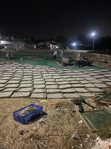 ผงโปรตีนปลาหมักสูตรใหม่ ความเข้มข้น 25%-60% ผงแห้งสำหรับโค ปลา สุนัข สุกร ม้า WOOUP เวียดนาม - Product Image 4