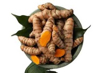 Cúrcuma Fresca Entera Cruda de Primera Calidad, Raíces Naturales para Cocinar, Procesamiento de Alimentos, Suministro de Especias al por Mayor - Product Image 1