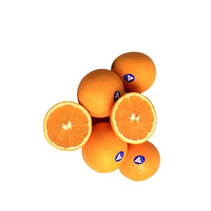 Naranja Mandarina Orgánica <span class=keywords><strong>de</strong></span> Primera Calidad, Variedad Navel, Cítrico Fresco con Sabor Dulce, Marca SA, 3 Años <span class=keywords><strong>de</strong></span> Duración - Product Image 3