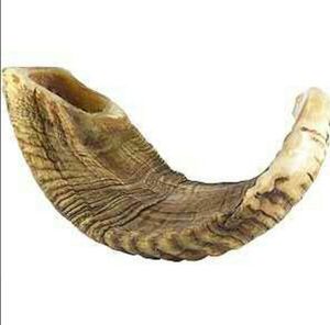Shofar de Cuerno de Carnero - Decoración Religiosa Ecológica Hecha a Mano para el Hogar - Product Image 2