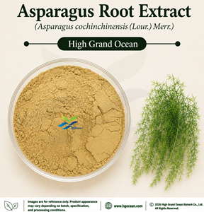 สารสกัดจากรากหน่อไม้ฝรั่ง (Asparagus cochinchinensis) เกรดอาหาร ผลิตโดยโรงงาน HGO โดยตรง อัตราส่วน 4:1 5:1 10:1 20:1 100:1 200:1 - Product Image 1