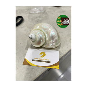 Anneau de serviette personnalisé en coquillage, fait main, en coquillage naturel, pour mariage sur la plage, décoration de table de dîner côtière, OEM - Product Image 5