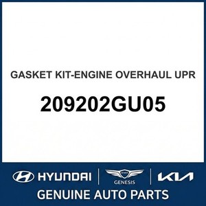 Grandeur/Azera Nouveaux joints et garnitures 209202GU05 - Product Image 1