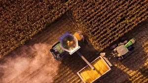 เมล็ดพันธุ์หญ้าฉลากส่วนตัว กรีนการ์ด ช่วยเพิ่มการงอก ปุ๋ยหมักสำหรับพืช 99% ออร์แกนิก ธรรมชาติ บริสุทธิ์ ผงไม่ผ่านกระบวนการ - Product Image 3