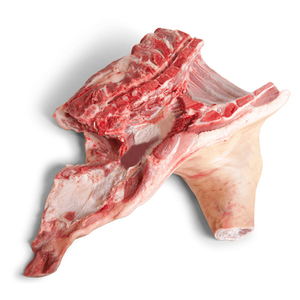 เนื้อสเตอร์นัมแช่แข็งฮาลาลคุณภาพส่งออก - Product Image 4