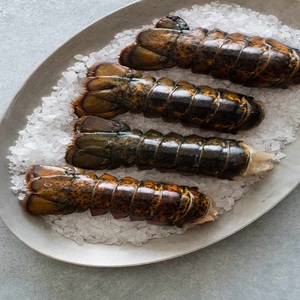 หางกุ้งล็อบสเตอร์แช่แข็งพร้อมจำหน่ายในราคาขายส่ง รสชาติเยี่ยม คุณภาพพรีเมียม และสะดวกในการเตรียมอาหารทะเล - Product Image 2
