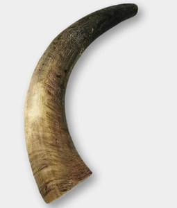 Corne à mâcher pour chien, écologique, durable, polie, de forme naturelle, sûre et sans odeur, pour la santé dentaire - Product Image 4