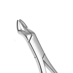 ARISTON INTERNATIONAL Forceps d'extraction dentaire de haute qualité, modèle anglais, en acier inoxydable, pince manuelle certifiée CE - Product Image 2