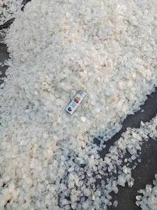 Écailles de poisson VDELTA du Vietnam – Écailles de Tilapia décalcifiées et blanchies à l'oxygène – Meilleur prix / John - Product Image 4