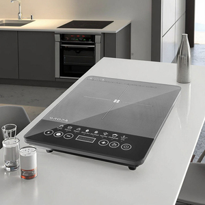 Cuisinière à induction portable étanche 2200W à brûleur unique avec plaque céramique robuste, 8 niveaux, pour usage extérieur et domestique - Vente en gros - Product Image 5