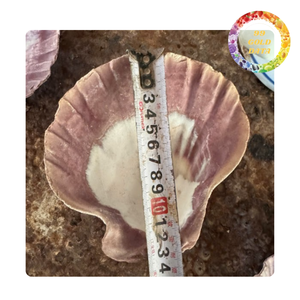 Coquilles décoratives de haute qualité en forme de coquille Saint-Jacques pour la décoration de vins, mariages et fêtes, fournitures pour bijoux et artisanat, vente en gros - Passe au micro-ondes, sans BPA, double paroi - Product Image 3
