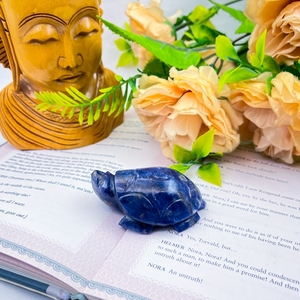 Natural Sodalite Tortoise Carving Blue Sodalite Turtle Healing Crystal For Reiki Feng Shui Decor Wholesale - Product Image 5